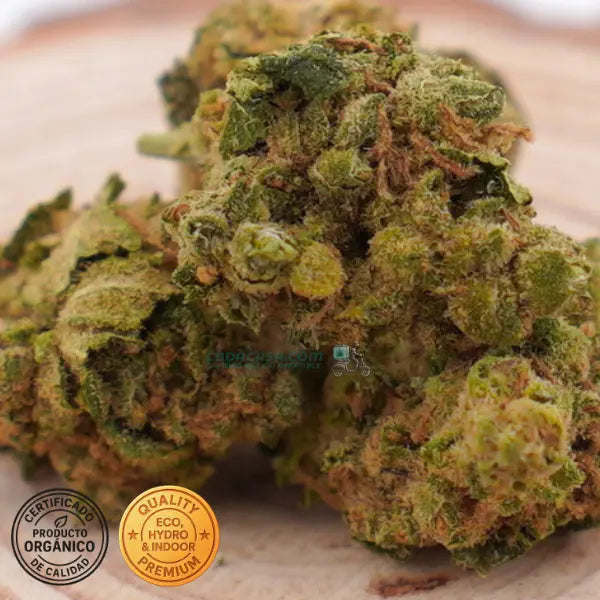 Comprar CBD Amnesia Haze Hydro