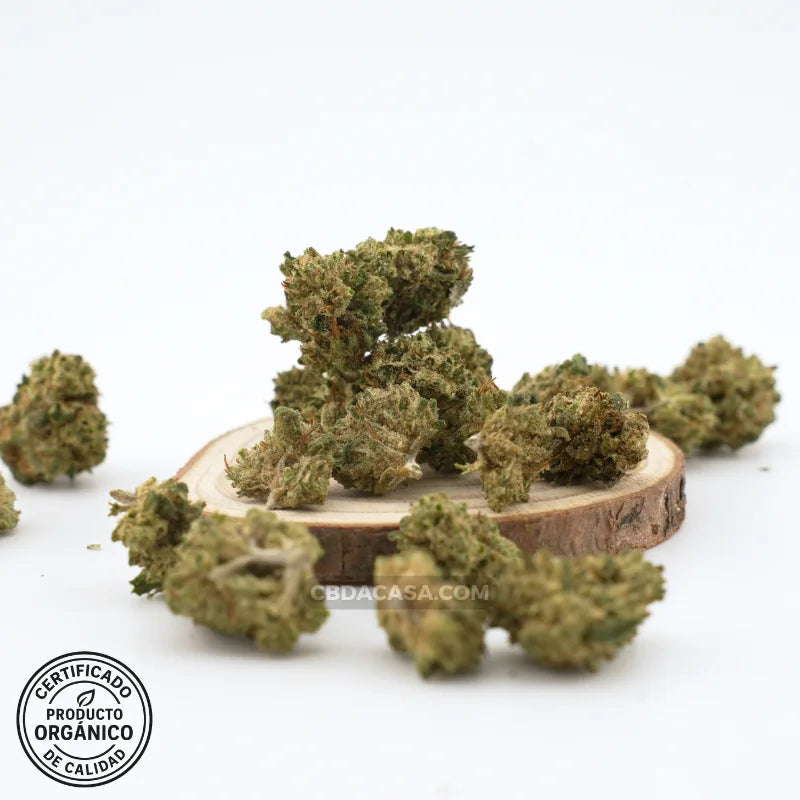 Flores de CBD AK47 desde 0,99€/gr