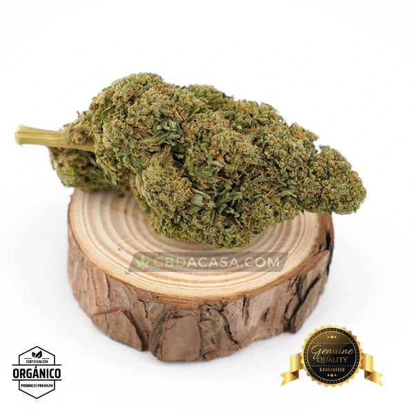 Flores de CBD Purple Haze