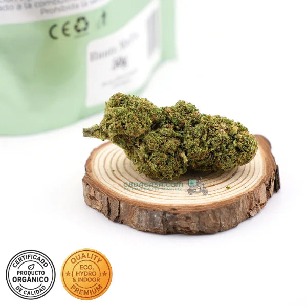 Runtz Muffin - flores CBD top