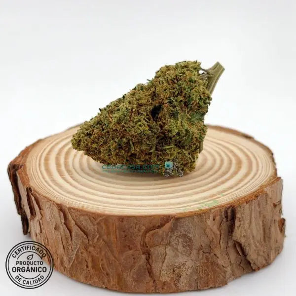 Flore de CBD Sherbet, nueva oferta