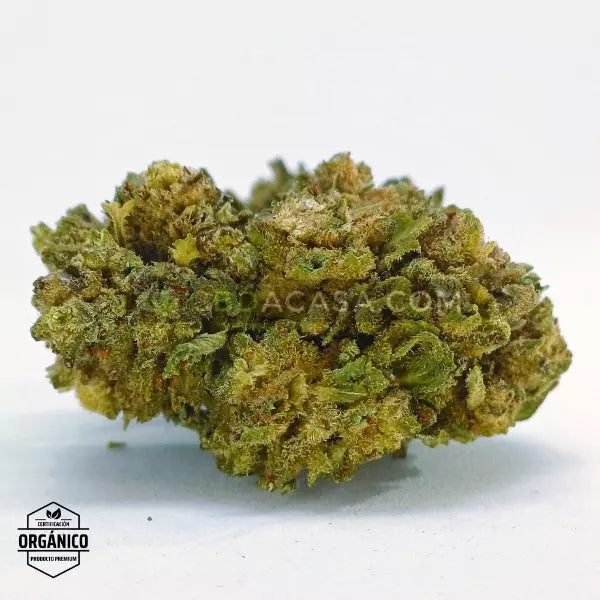 Flores CBD Mandarina Kush 🆕