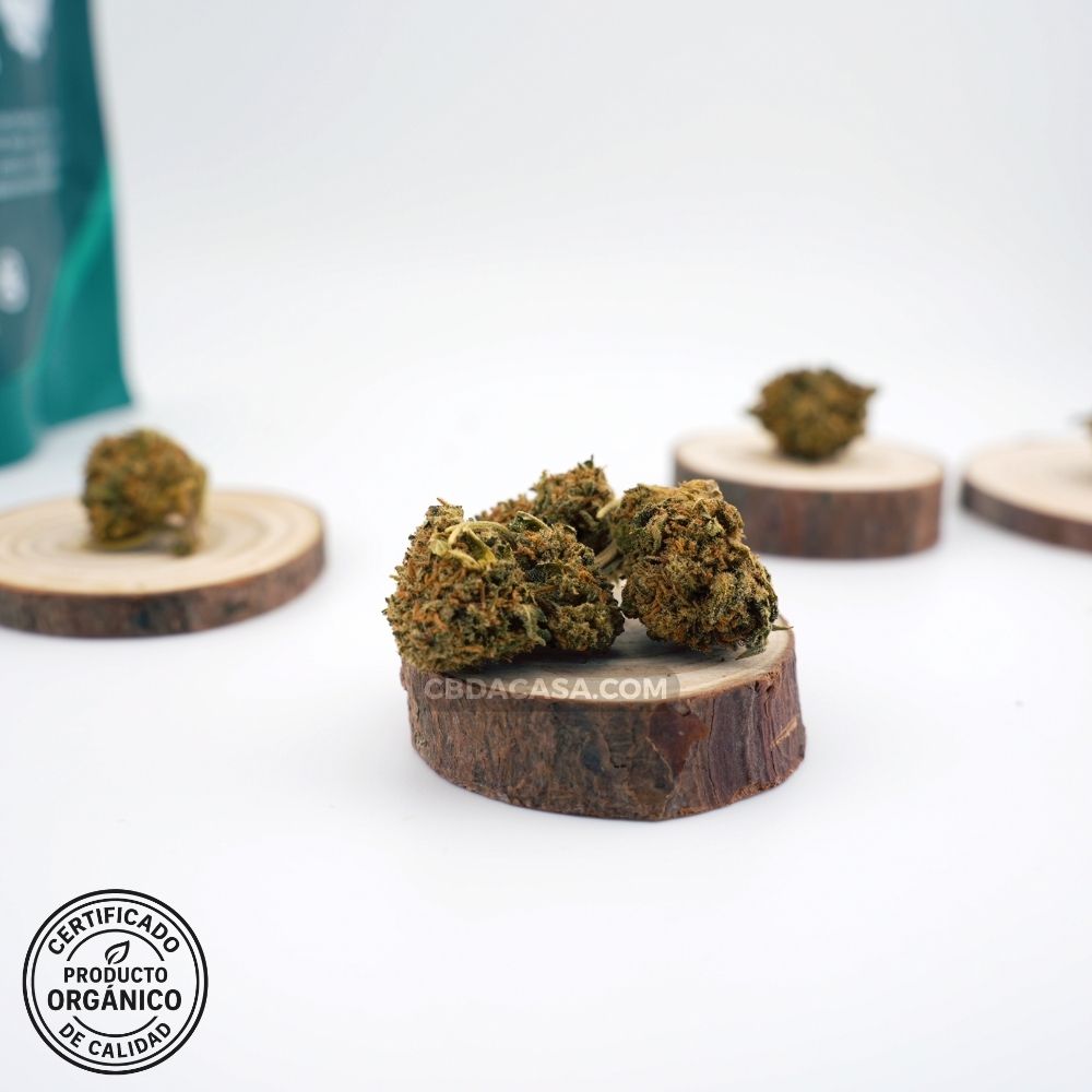 Flores CBD Wedding Cake Orgánica – Cultivo 100 % ecológico, legal