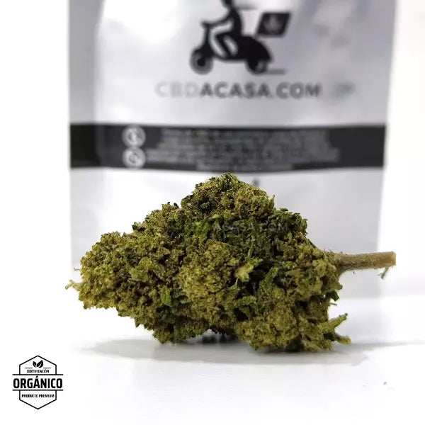 Flores CBD White Melon - frescas y sabrosas 🆕