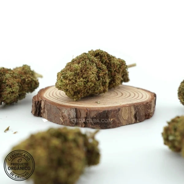 Flores de CBD Cherry Wine