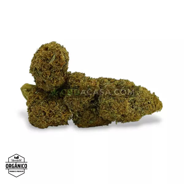 Flores CBD Gorilla Glue Glasshouse 🆕