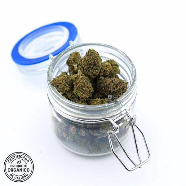 Flores CBD indoor Gorilla Glue