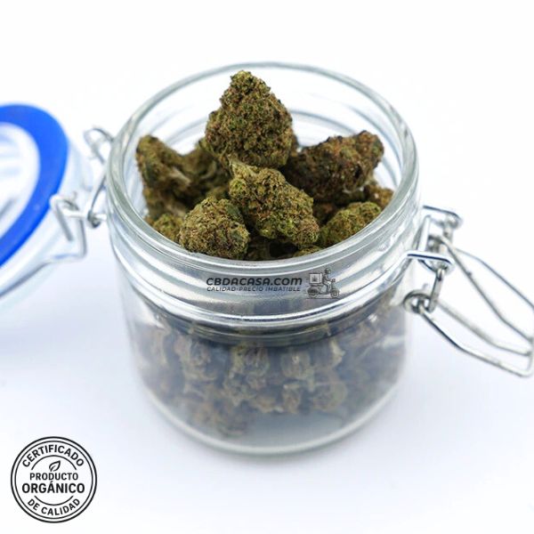 Flores CBD indoor Gorilla Glue