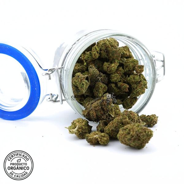 Flores CBD indoor Gorilla Glue