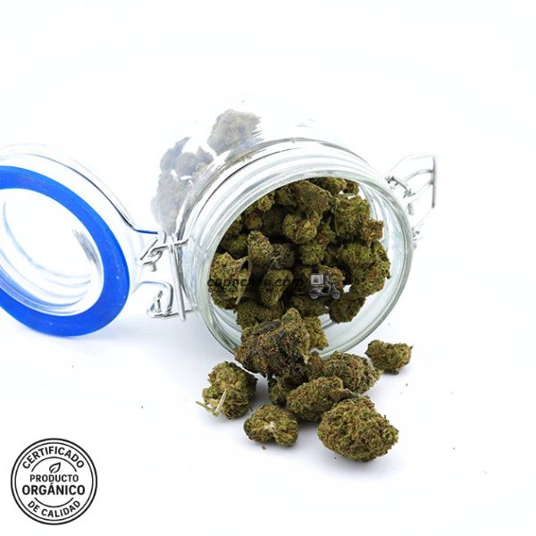 Flores CBD indoor Gorilla Glue