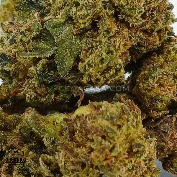 Flores CBD Mandarina Kush 🆕