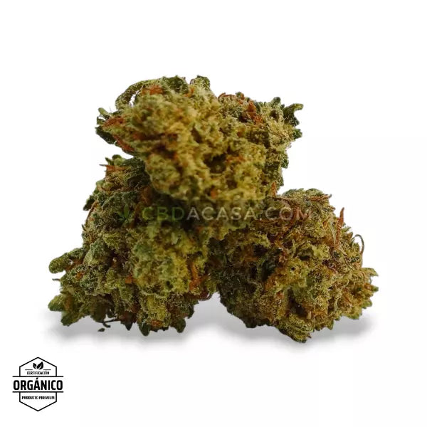 Flores CBD Mandarina Kush 🆕