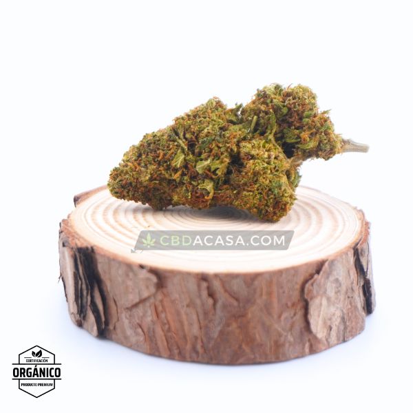 Flores CBD Mandarina Kush