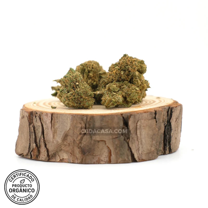 Flores CBD Mango Haze – Dulce mango & terpenos Haze | Buena relación precio