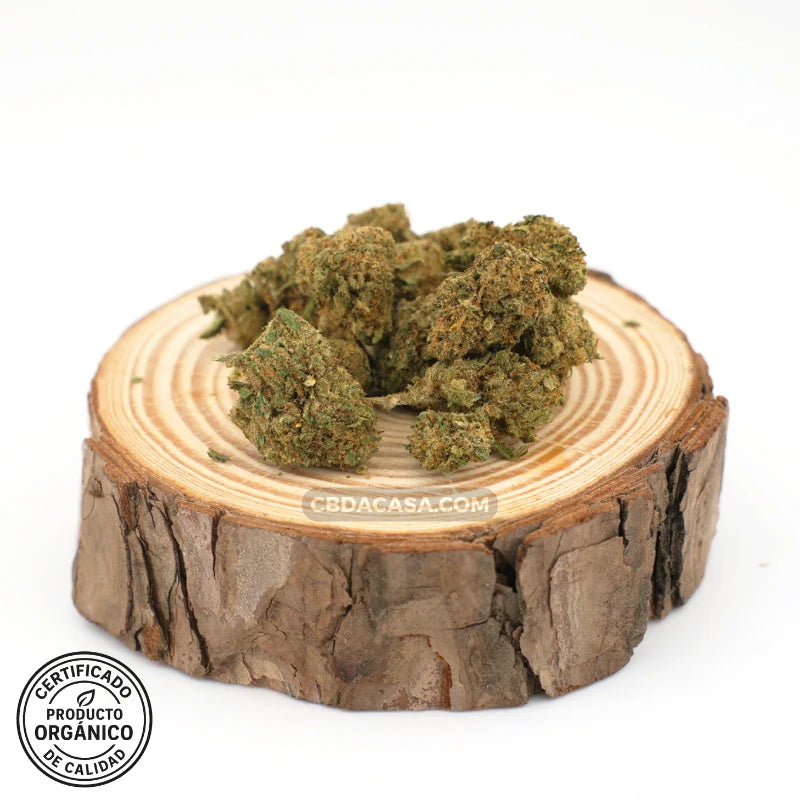 Flores CBD Mango Haze – Dulce mango & terpenos Haze | Buena relación precio