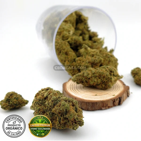 CBD indoor Marley Kush, flores excepcionales