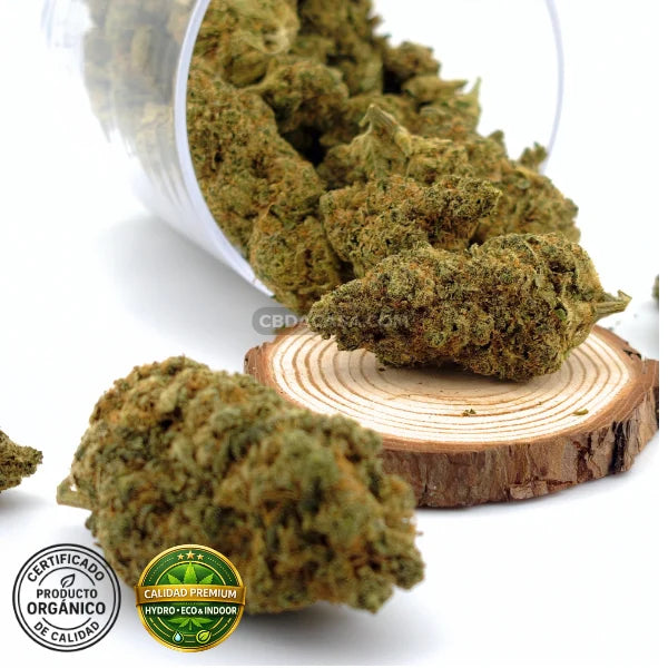 CBD indoor Marley Kush, flores excepcionales