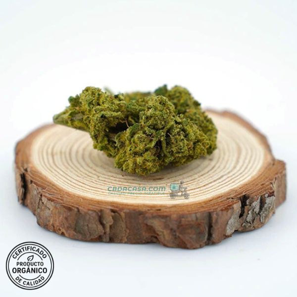 Flor CBD Northern Lights