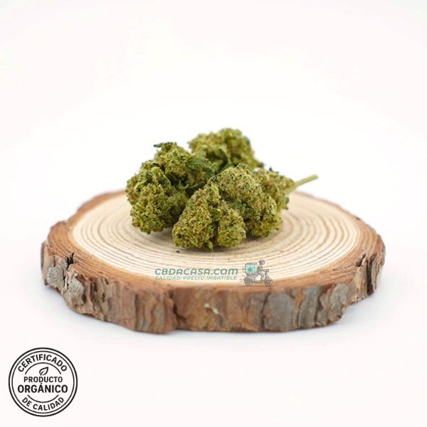 Flor CBD Northern Lights