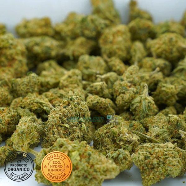 Flores de CBD indoor Orangello hidropónicas