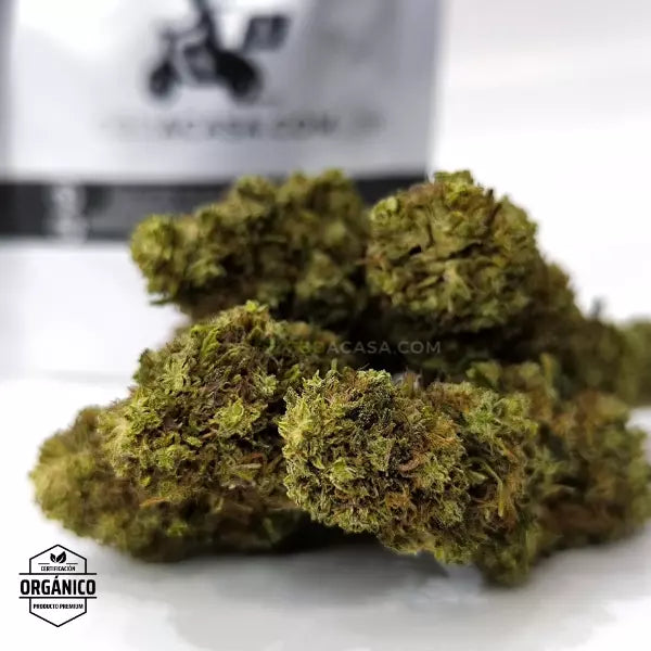 Flores CBD Pink Lady 100% ecológico desde 0,72 euro/gr