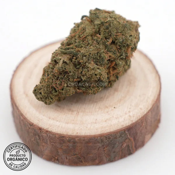 Flores CBD Pink Lady 100% ecológico