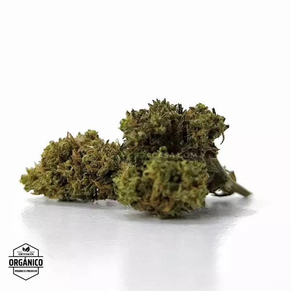 flores de cbd ecológicas en madrid