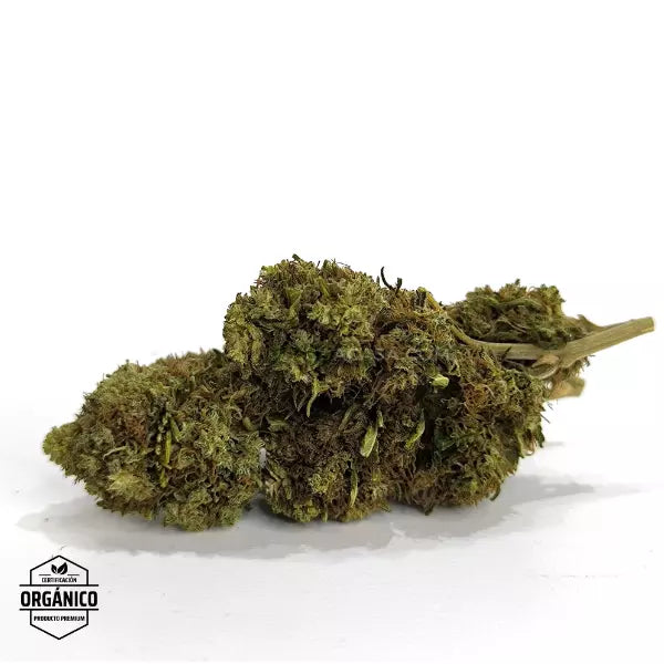 Nueva flor CBD pink online en barcelona