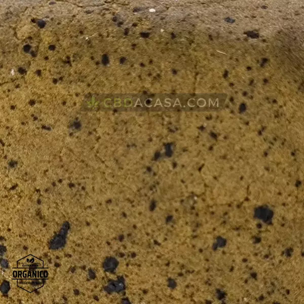 Polen CBD Holandés 🆕