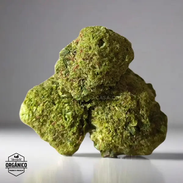 Rainbow Chip Flores CBD a partir de 1 euro