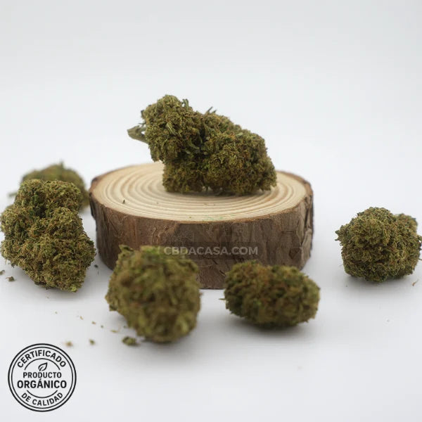 Flores de CBD Sherbet, nueva oferta