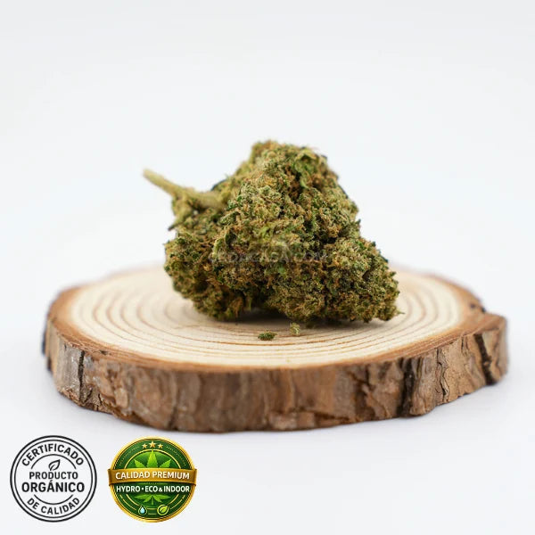 Flores CBD Sorbet de calidad