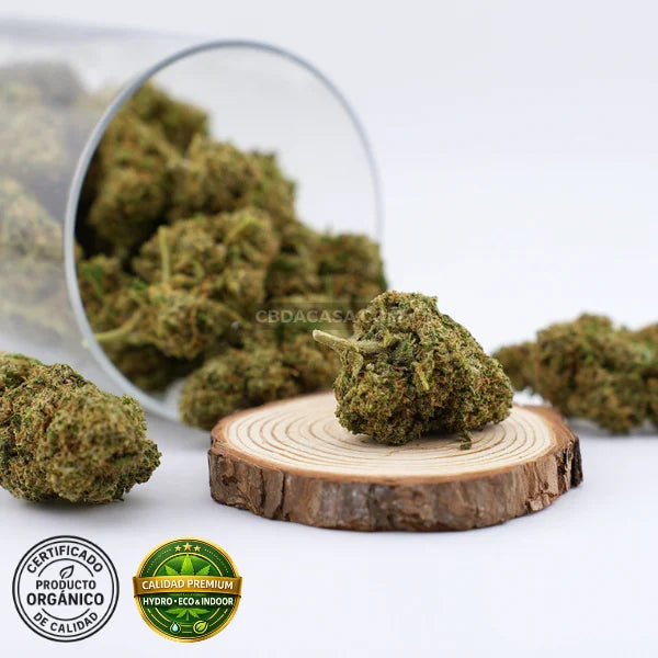 Flores CBD Sorbet de calidad