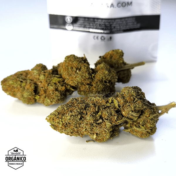 Strawberry CBD indoor flores bellísimas a buen precio
