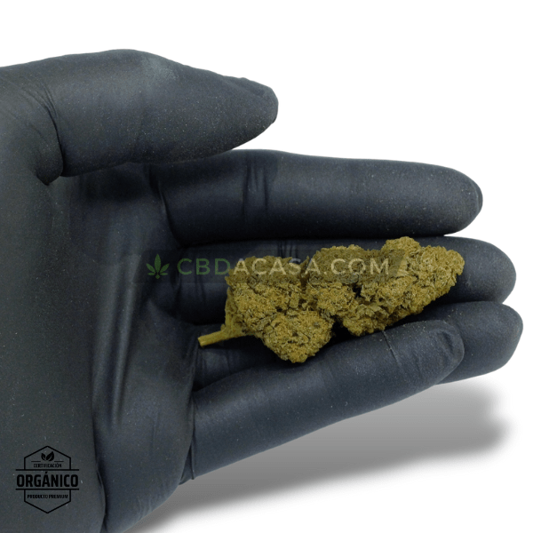 Comprar CBD White Widow - flores CBD leyendarias