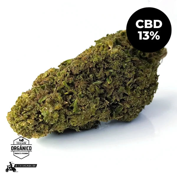 White Siberian Flor con CBD 13% 🆕