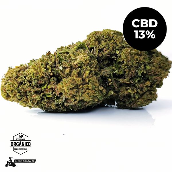 White Siberian Flor CBD Predominancia índica de calidad 🆕