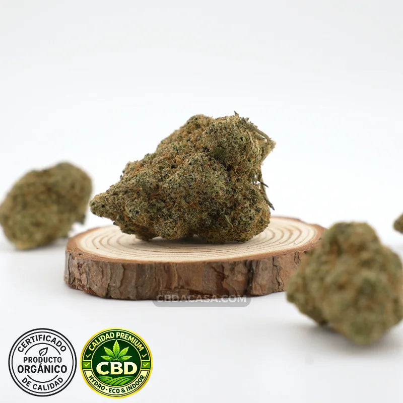 Flores de CBD hidroponico Zushi