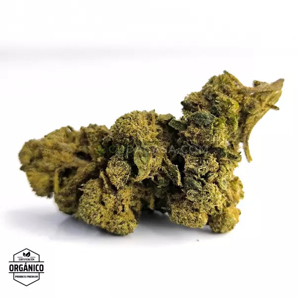Acapulco Flor Compacta de CBD 🆕