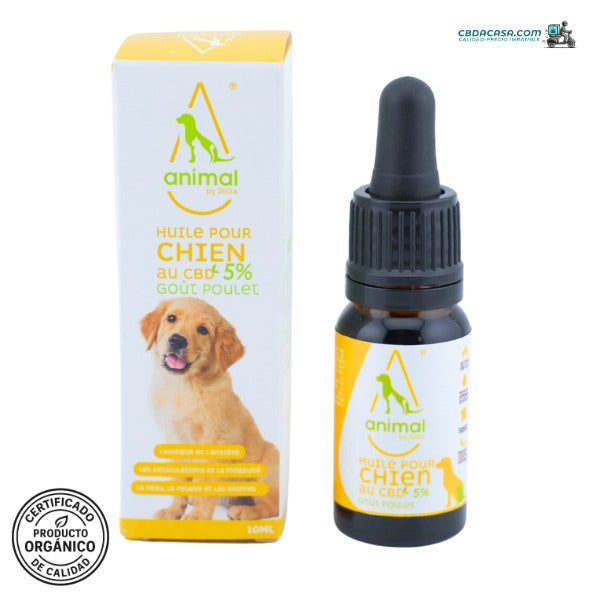 Aceite CBD para perro