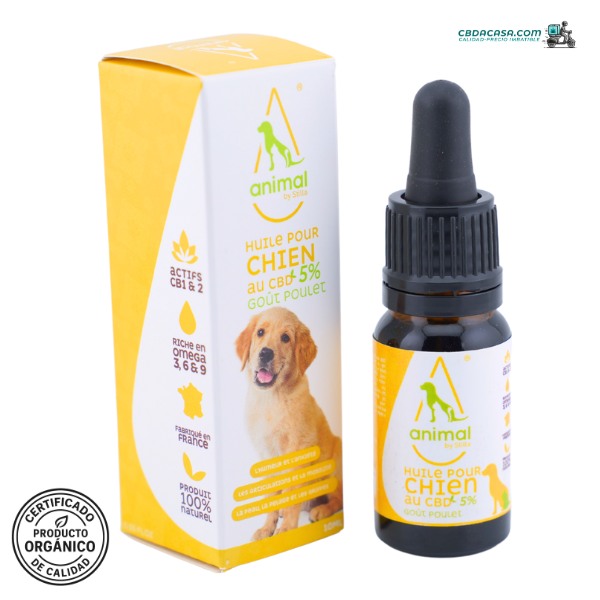 Aceite CBD para perro