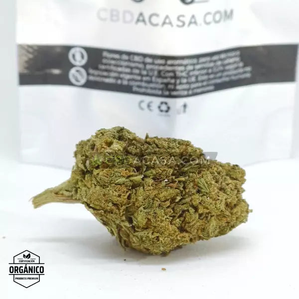 Flores CBD Amnesia 🆕 La Leyenda Vuelve