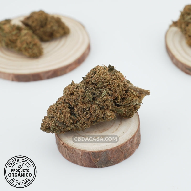 Comprar CBD Premium flores Banana Kush