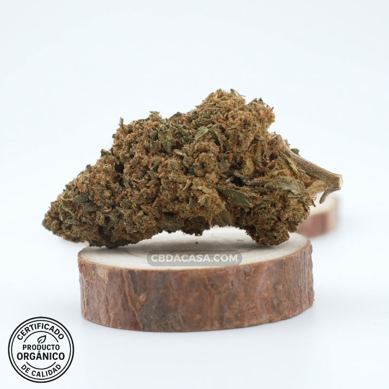Comprar CBD Premium flores Banana Kush