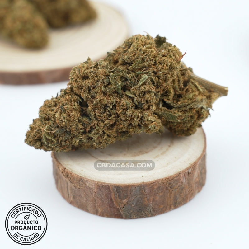 Comprar CBD Premium flores Banana Kush