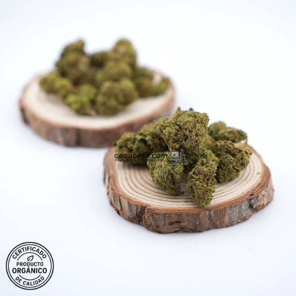 Flores CBD Cannatonic 100% ecológico a partir de 1 euro