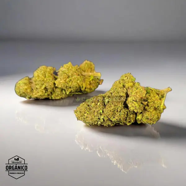 Flores CBD Master Kush