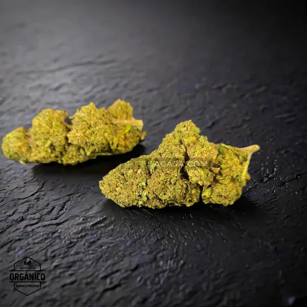 Flores CBD Master Kush