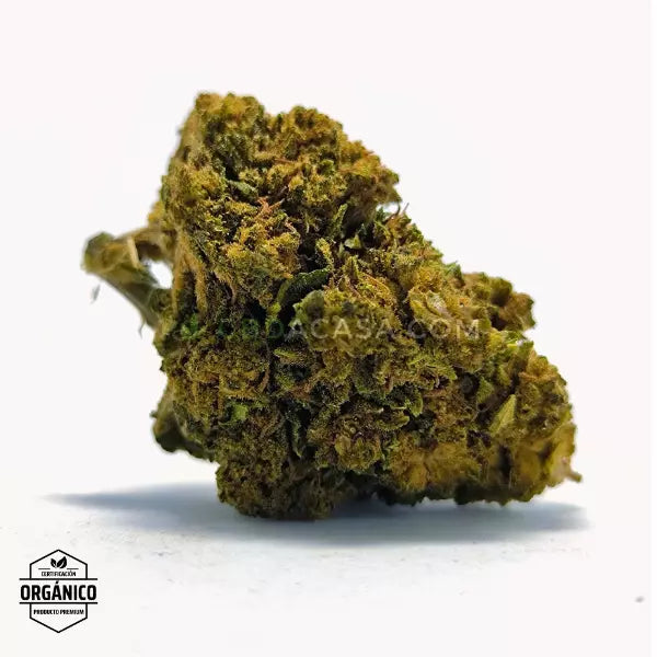 Flores CBD Pineapple Express