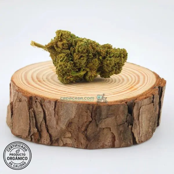 Flores de CBD Raspberry, frescas y bonitas